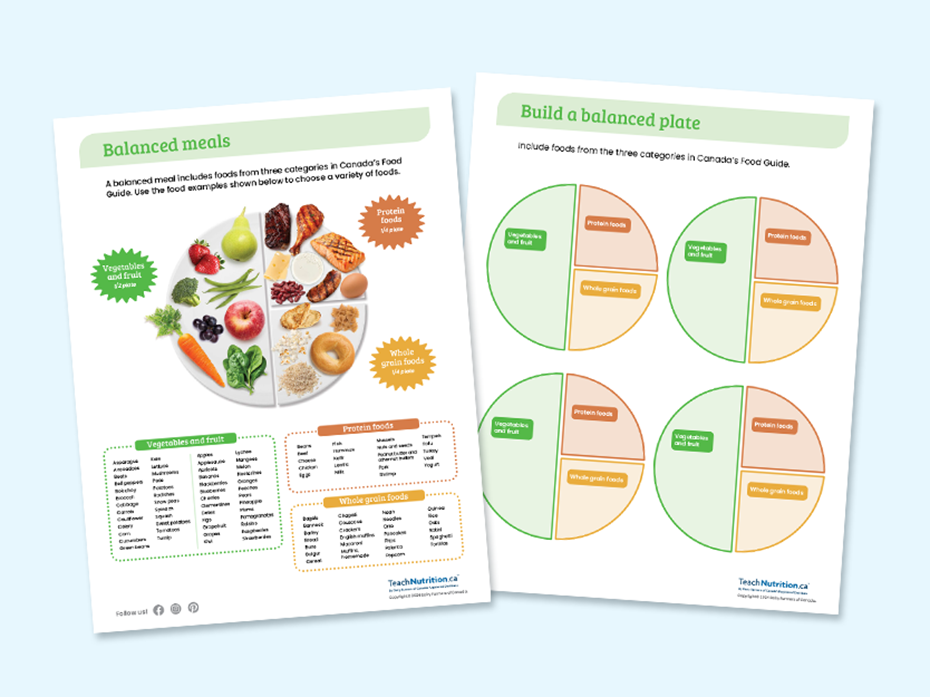 Activity sheet for balanced meals