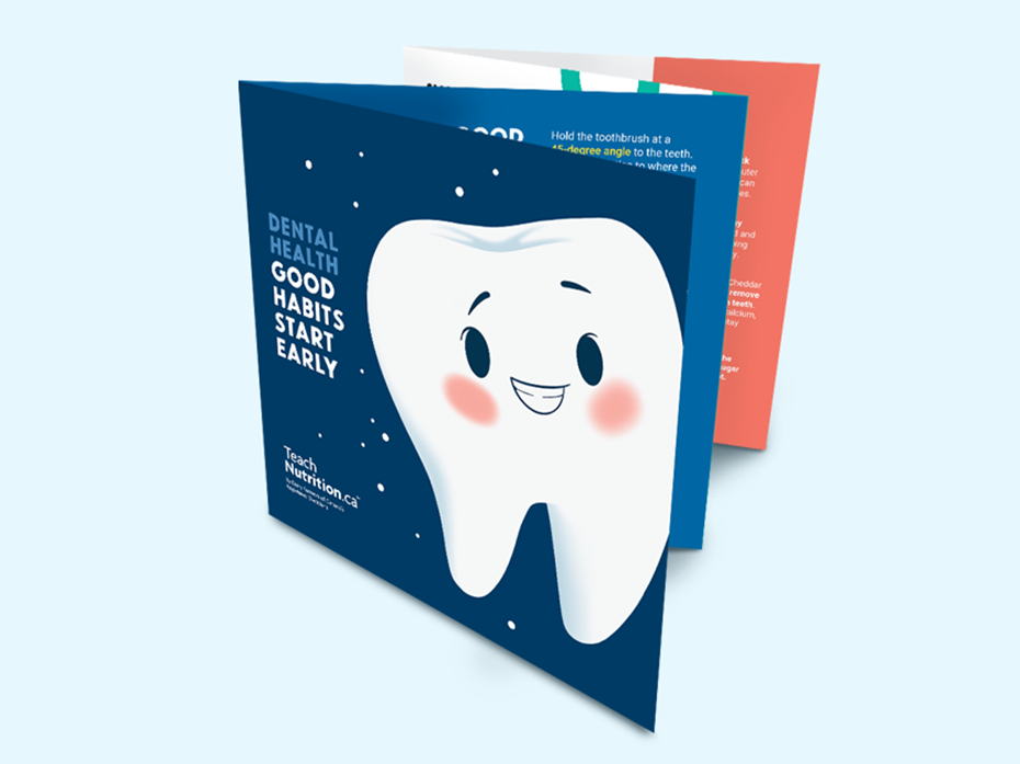 accordion brochure with an illustration of a tooth