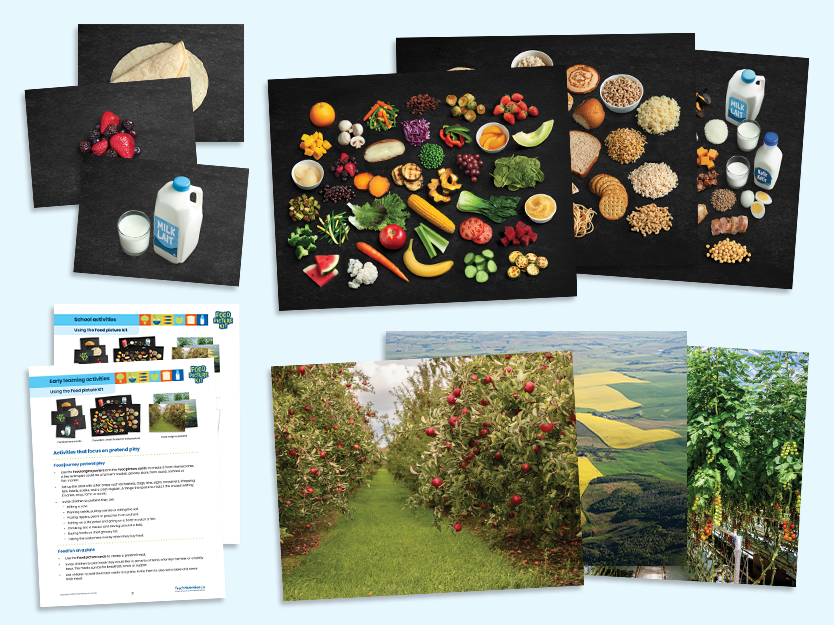kit with food picture cards, Canada's Food Guide posters and food origins posters