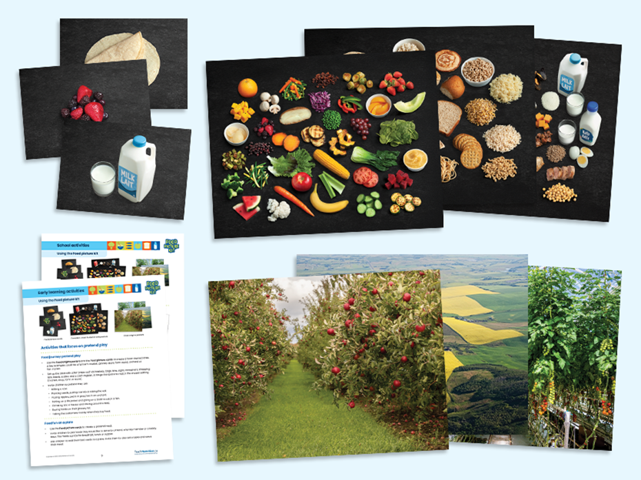 kit with food picture cards, Canada's Food Guide posters and food origins posters