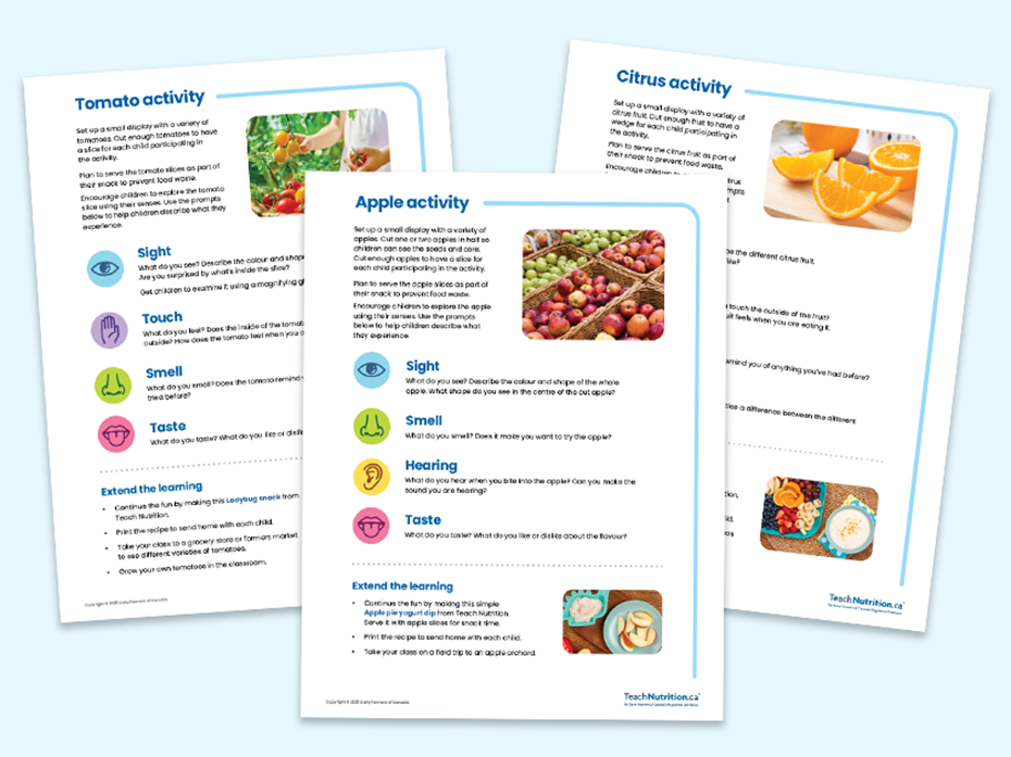 Activity sheets for different foods