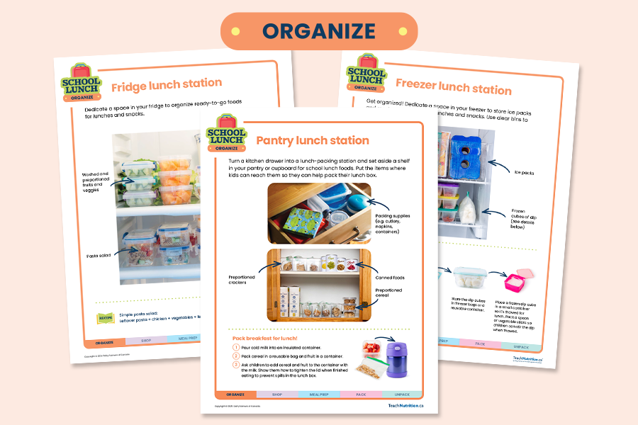 School lunch organize a fridge, a freezer and a pantry lunch station